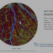 Virtual Microscope Simulation Science Experiment Virtual Lab Simulation