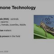 Cornell Digital Agriculture Hackathon 2021 Pitch