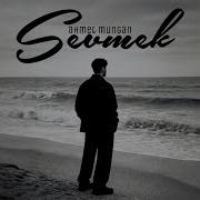 Ahmet Mungan Sevmek Ahmetmungan