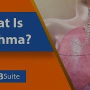 What Is Asthma Visible Body