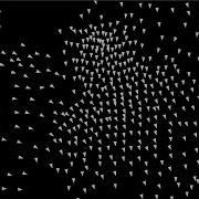 Boids Algorithm