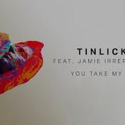 Tinlicker Feat Jamie Irrepressible You Take My Hand Tinlicker