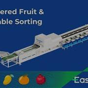 Easyweigh AI Powered Fruit Vegetable Sorting Machine Smart Fruit Processing Automation