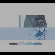 Mach 6 Shock Helium Bubble Interaction Hp Adaptive Discontinuous Galerkin Finite Volume