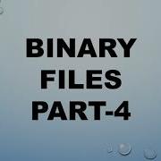 Append Operation On Binary File