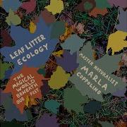 The Naturalist Exchange Leaf Litter Ecology