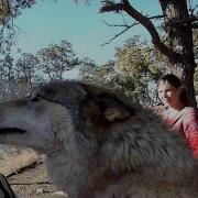 Happy Wolf Attack