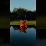 Try This Photography Idea With Your Phone Oppo Reno 10 Pro 5G Easy Photography Youtubeshorts