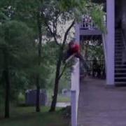 Free Running Gone Wrong