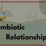 Symbiotic Relationships Mutualism Parasitism Commensalism EasyTeaching