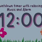 12 Minute Timer With Relaxing Music And Alarm Spring Timer