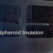 3D Spheroid Invasion Assay With Tumor Based Matrix Protocol Preview