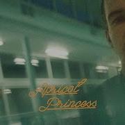 Rex Orange County Never Enough Official Audio