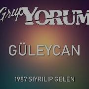 Grup Yorum Güleycan