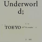 Underworld Live In Tokyo 25th November 2005