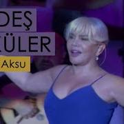 Kardeş Türküler Sezen Aksu Sarışınım Yeni Bir Gün 2011 BGST Records