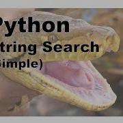 650 Python String Search Simple
