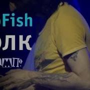 TripFish Волк Live