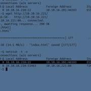 Linux Networking Netstat Services Protocols 4 Of 6