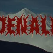 Portugal The Man Denali