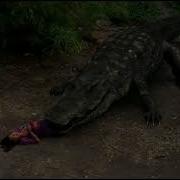 Mega Python VS Gatoroid 2011