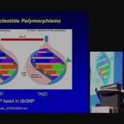 Simon De Denus What Are Gene Polymorphisms