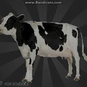 Cow Error