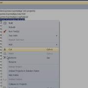 CodeRush Classic Collapse To Projects