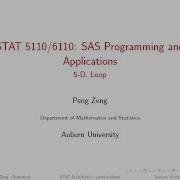 SAS 5D Do Loops