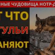 Почему ГАРГУЛЬИ на Крыше Нотр Дама Их Истинная Функция ПУГАЕТ