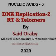 L 5 DNA Replication 2 By Said Oraby