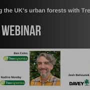 Managing The UK S Urban Forests With TreeKeeper