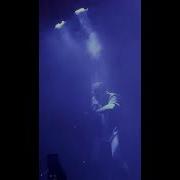OZBİ Sonu Yok 6 45 KK Ankara Live