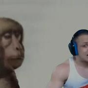 Neuron Activation Monkey Meme