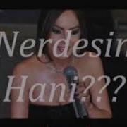 EBRU GÜNDEŞ HANİ