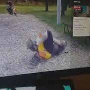Funny Spring Loaded Trampoline Fails Compilation By Monster Mo