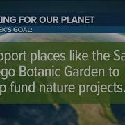Rare Corpse Flower Blooms At San Diego Botanic Garden Working For Our Planet