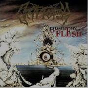 Cryptopsy Mutant Christ Drums Only