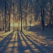 Vivaldi Winter DimonD FD Vs DVL Remix