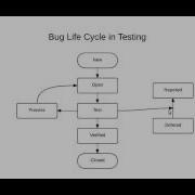 Software Testing Defect Life Cycle