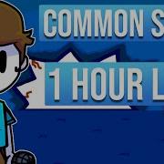 Friday Night Funkin VS Nonsense Common Sense 1 Hour Loop