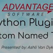 Python Plugin Custom Named Tags