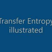 Transfer Entropy Illustrated