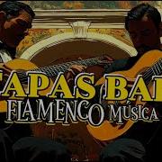 TAPAS Bar Guitar INTIMATE Spanish Tavern Melodies Traditional Flamenco