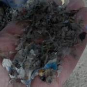 Processing Of Solid Waste Separation