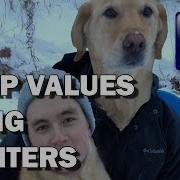 How To Swap Values In C Using Pointers