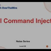 CTF Natas Level 29 Perl Command Injection Filter Bypass