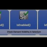 Difference B W IsDisplayed IsEnabled And IsSelected Methods Selenium WebDriver Session 13