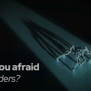 The Spider In Your Blood Revealing A Hidden Immune Guardian