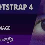 Bootstrap 4 Blueprints Card With Top Image